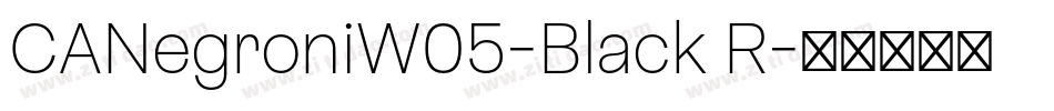 CANegroniW05-Black R字体转换